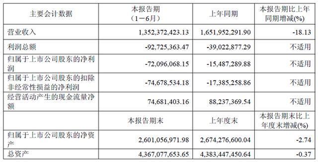 赛伍技术上半年营收1352 亿元显示和声学重点产品有望持续放